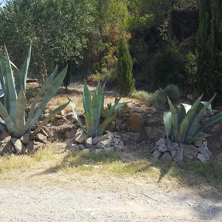 Bed and Breakfast La Loubiere, Ancienne Bergerie En Pleine Garrigue Fraisse-des-Corbieres Экстерьер фото